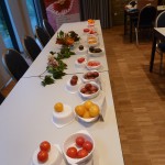 Bunte Tomaten-Vielfalt mit Cocktail- Cherry, Roma und Stabtomaten